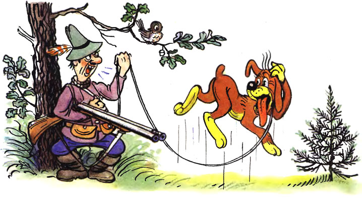 ����������� ����. ������� ��������