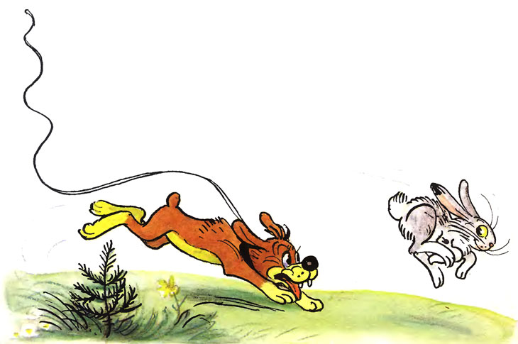 ����������� ����. ������� ��������