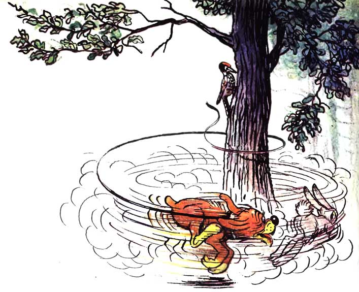 ����������� ����. ������� ��������