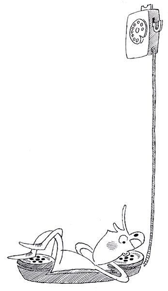 � - �������