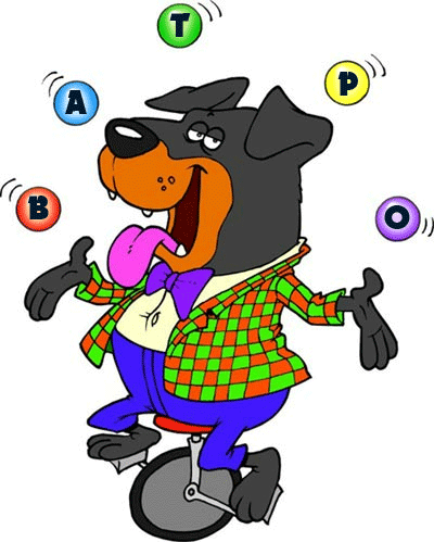 ������� ����� �� 5 ����