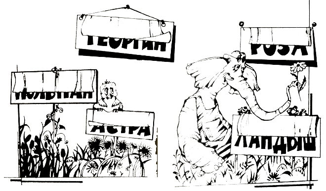 ���������� �������� ������