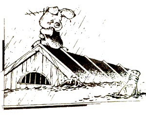 ��������� �������