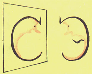 ����� � � �