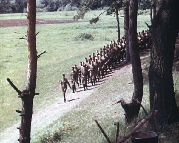 Солдат молоденький. Кадр из фильма «Завтрак на траве»