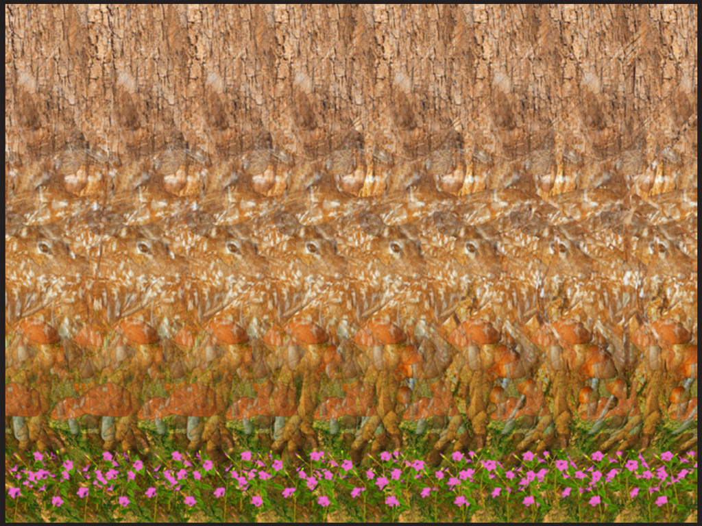 Стереограмма - 2 оленя между деревьев Стереограмма - 2 оленя между деревьев