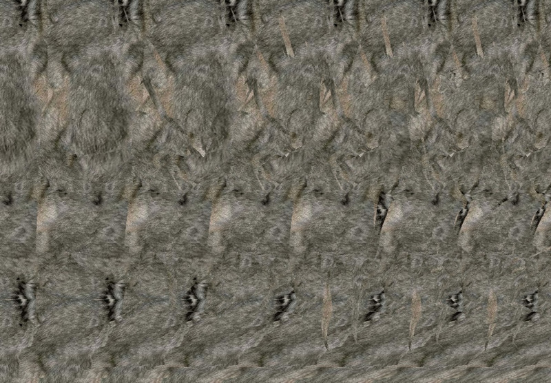 Стереограмма - Волк Стереограмма - Волк