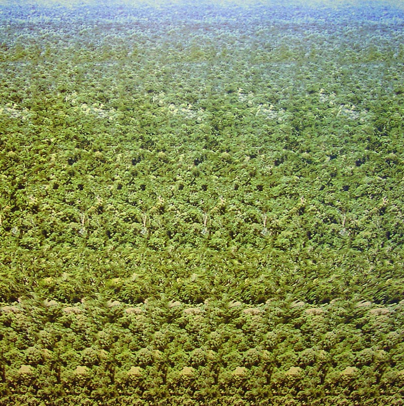 Стереограмма - Черепаха Стереограмма - Черепаха