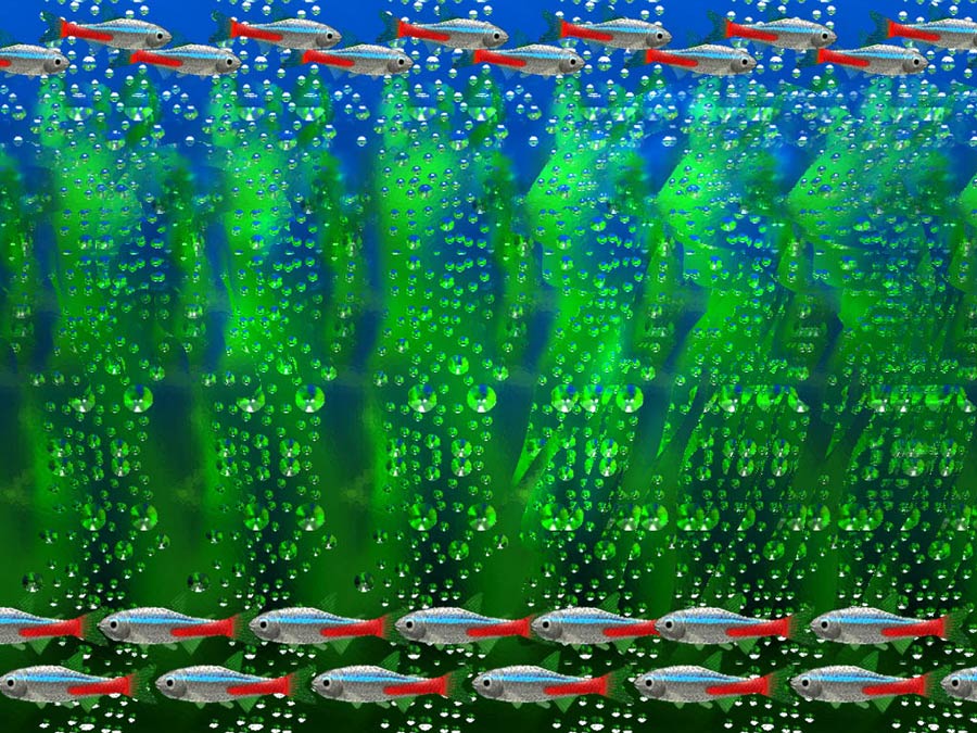 Стереограмма - Медузы Стереограмма - Медузы