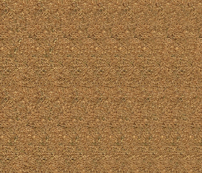 Стереограмма - Портрет песчаного человека Стереограмма - Портрет песчаного человека