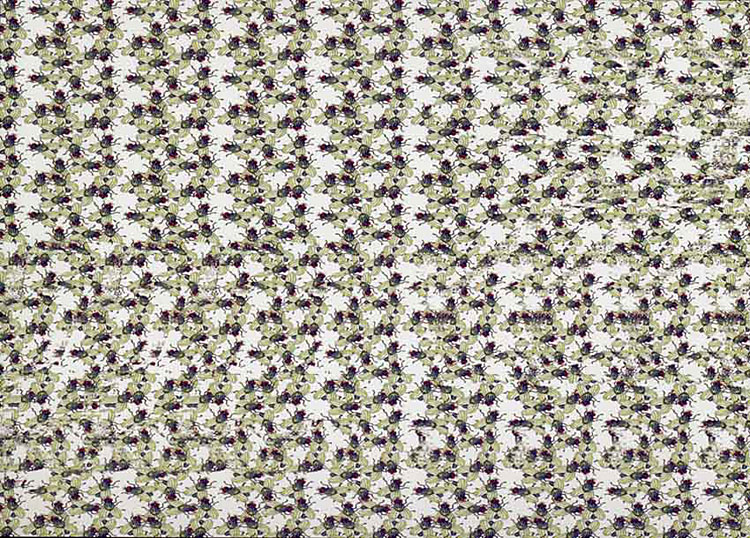 Стереограмма - Лягушка ловит языком... бантик Стереограмма - Лягушка ловит языком... бантик