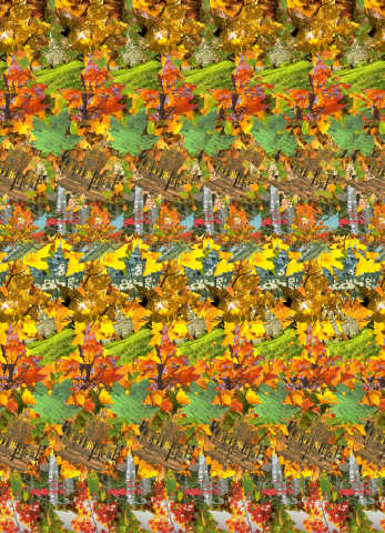 Стереограмма - Кленовые листья Стереограмма - Кленовые листья