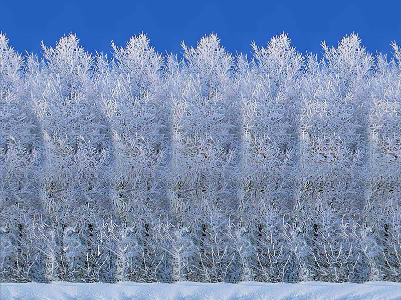 Стереограмма - Снеговики Стереограмма - Снеговики