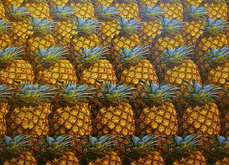 Стереограмма - Крокодил Стереограмма - Крокодил