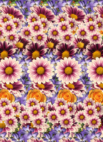 Стереограмма - Цветы Стереограмма - Цветы