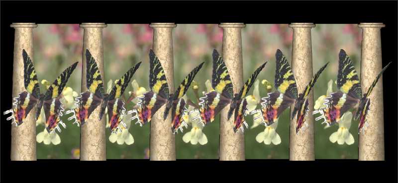 Стереограмма - Махаоны Стереограмма - Махаоны