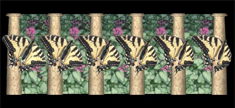 Стереограмма - Бабочки махаоны Стереограмма - Бабочки махаоны