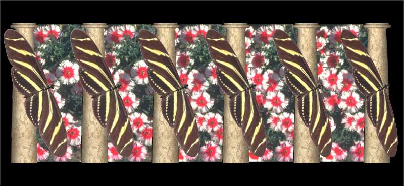 Стереограмма - Бабочки геликонии (Heliconius charitonius) Стереограмма - Бабочки геликонии (Heliconius charitonius)