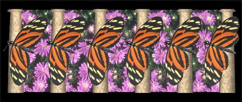 Стереограмма - Бабочки репейницы Стереограмма - Бабочки репейницы