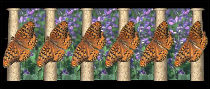 Стереограмма - Бабочки перламутровки блестящие Стереограмма - Бабочки перламутровки блестящие