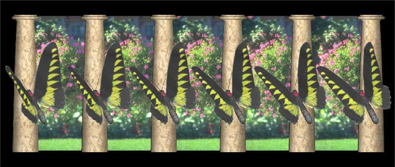 Стереограмма - Бабочки Трогоноптеры Брука Стереограмма - Бабочки Трогоноптеры Брука