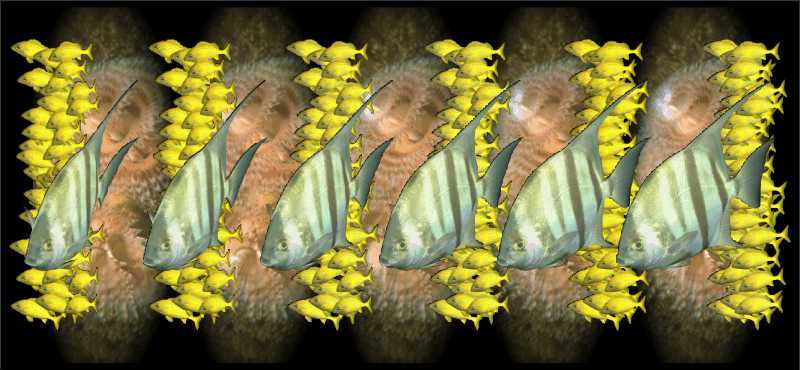 Стереограмма - Рыбы абудефдуфы Стереограмма - Рыбы абудефдуфы