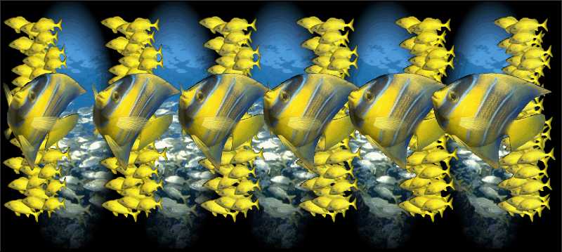 Стереограмма - Рыбы манини Стереограмма - Рыбы манини