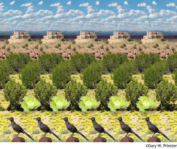 Стереограмма - Птицы и дальние строения Стереограмма - Птицы и дальние строения