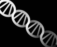 Подсказка к стереограмме - Спираль ДНК Подсказка к стереограмме - Спираль ДНК