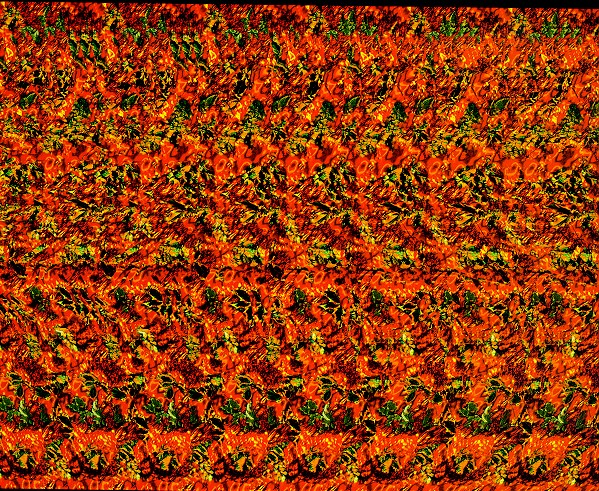 Стереограмма - Дерево Стереограмма - Дерево