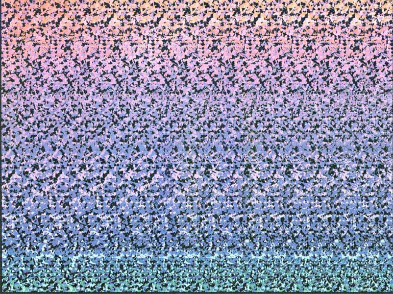 Стереограмма - Два динозавра Стереограмма - Два динозавра