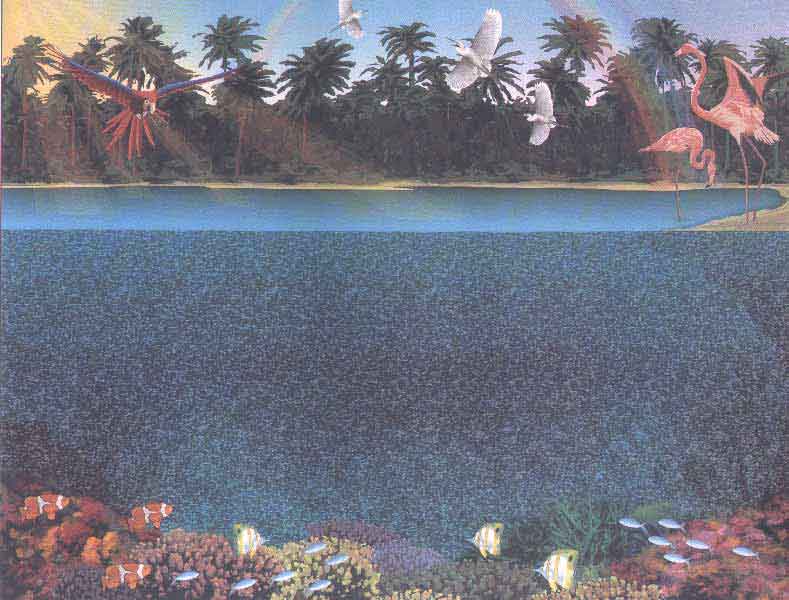 Стереограмма - Дельфины Стереограмма - Дельфины