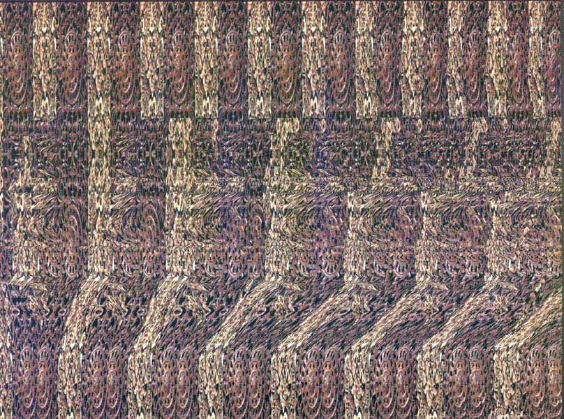 Стереограмма - Катастрофа флотилии у водопада Стереограмма - Катастрофа флотилии у водопада