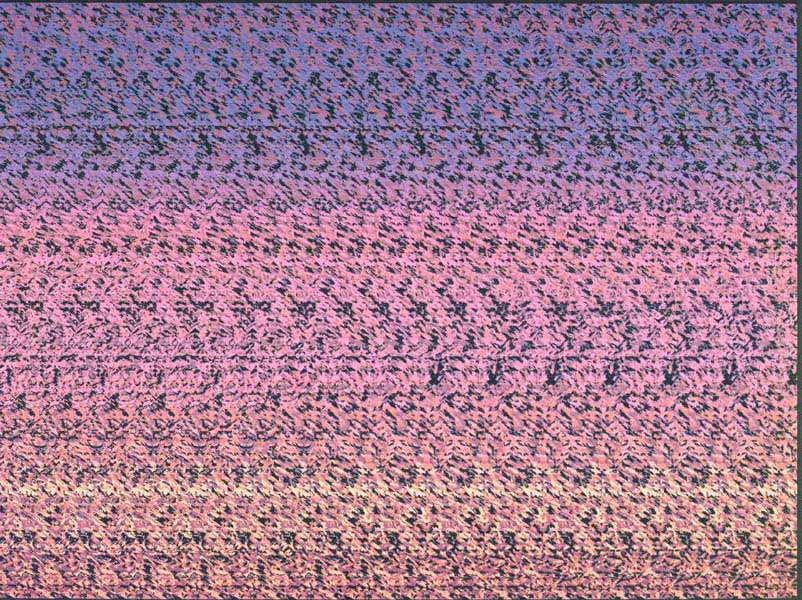 Стереограмма - Птичка садится на ветку Стереограмма - Птичка садится на ветку