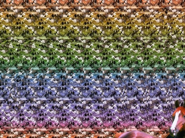 Стереограмма - Лошадь Стереограмма - Лошадь