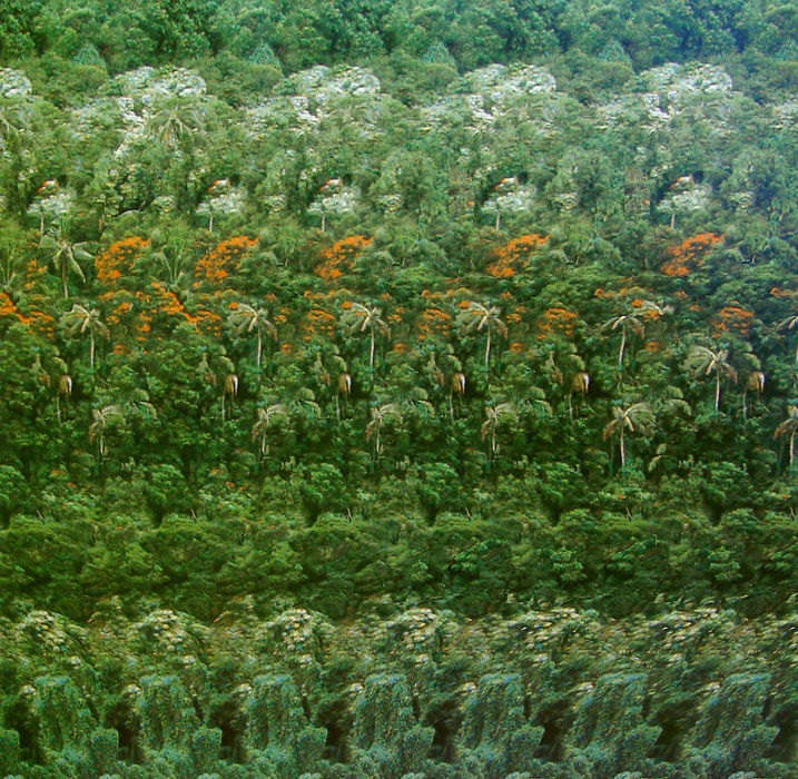 Стереограмма - Птица Стереограмма - Птица