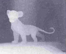 ��������� � ������������ - �����