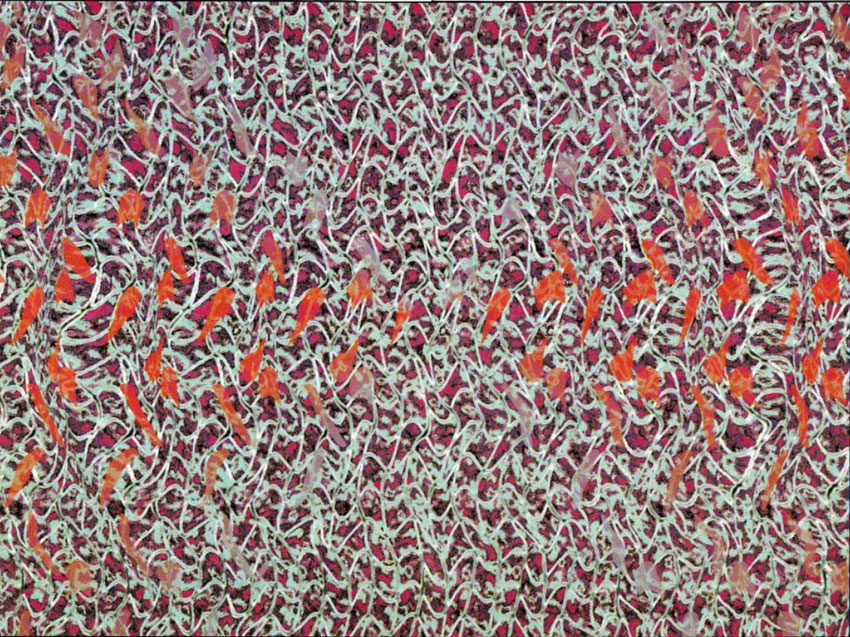 Стереограмма - Круги на воде Стереограмма - Круги на воде