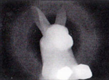 Подсказка к стереограмме - Фокус с кроликом из шляпы Подсказка к стереограмме - Фокус с кроликом из шляпы