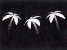 Подсказка к стереограмме - Пальмы Подсказка к стереограмме - Пальмы