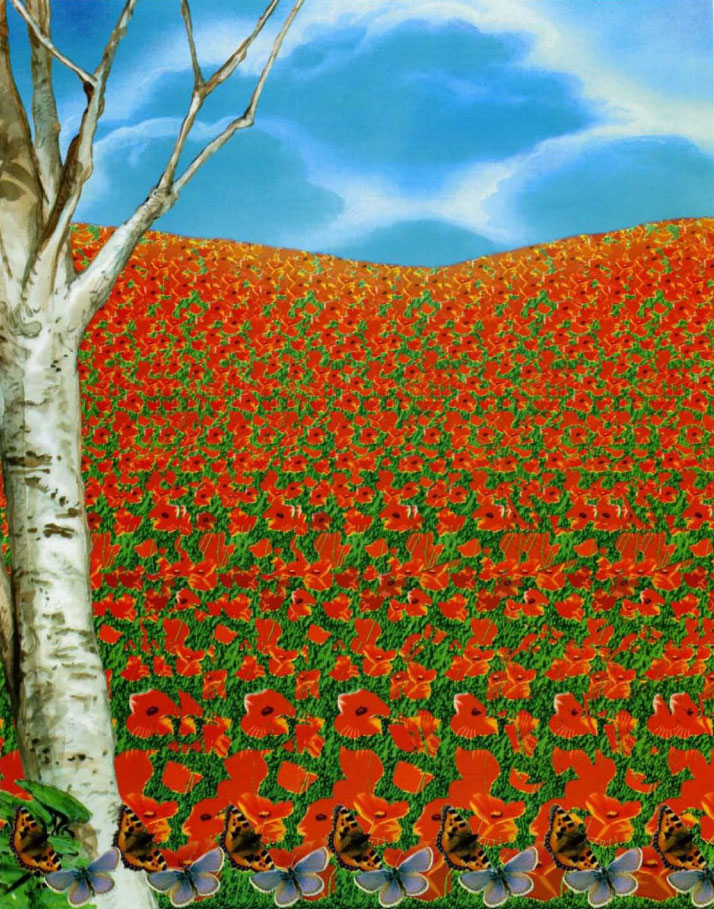 Стереограмма - Бабочки Стереограмма - Бабочки