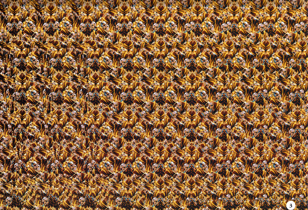 Стереограмма - Стереограмма -