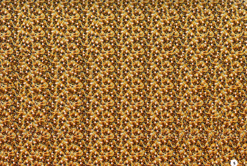 Стереограмма - Стереограмма -