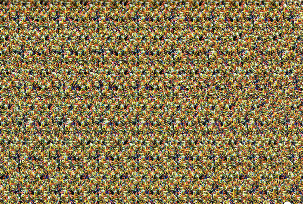 Стереограмма - Воин на коне Стереограмма - Воин на коне