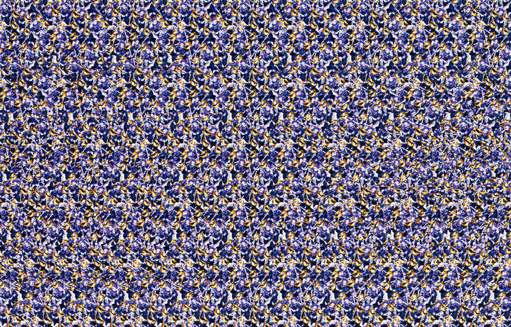 Стереограмма - Баллиста Стереограмма - Баллиста