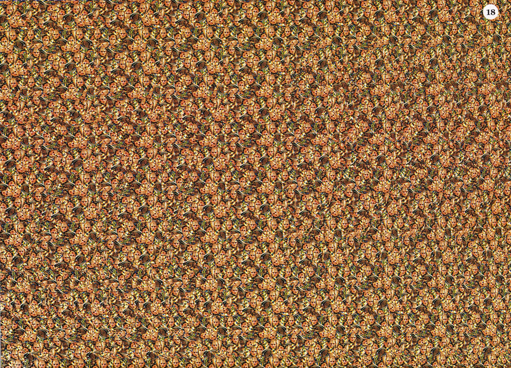 Стереограмма - Лучник Стереограмма - Лучник