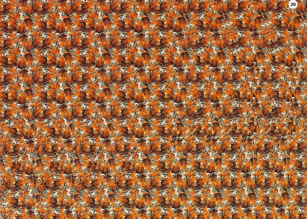 Стереограмма - Стереограмма -