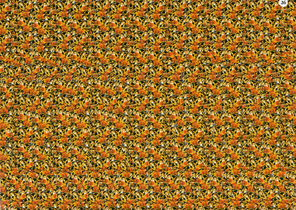 Стереограмма - Стереограмма -