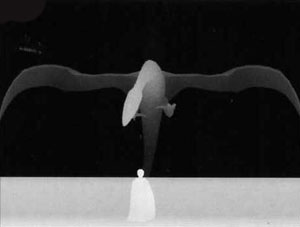 Подсказка к стереограмме - Подсказка к стереограмме -