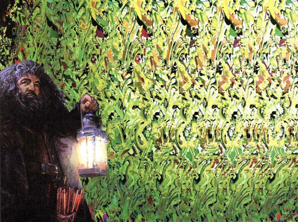 Стереограмма - Стереограмма -